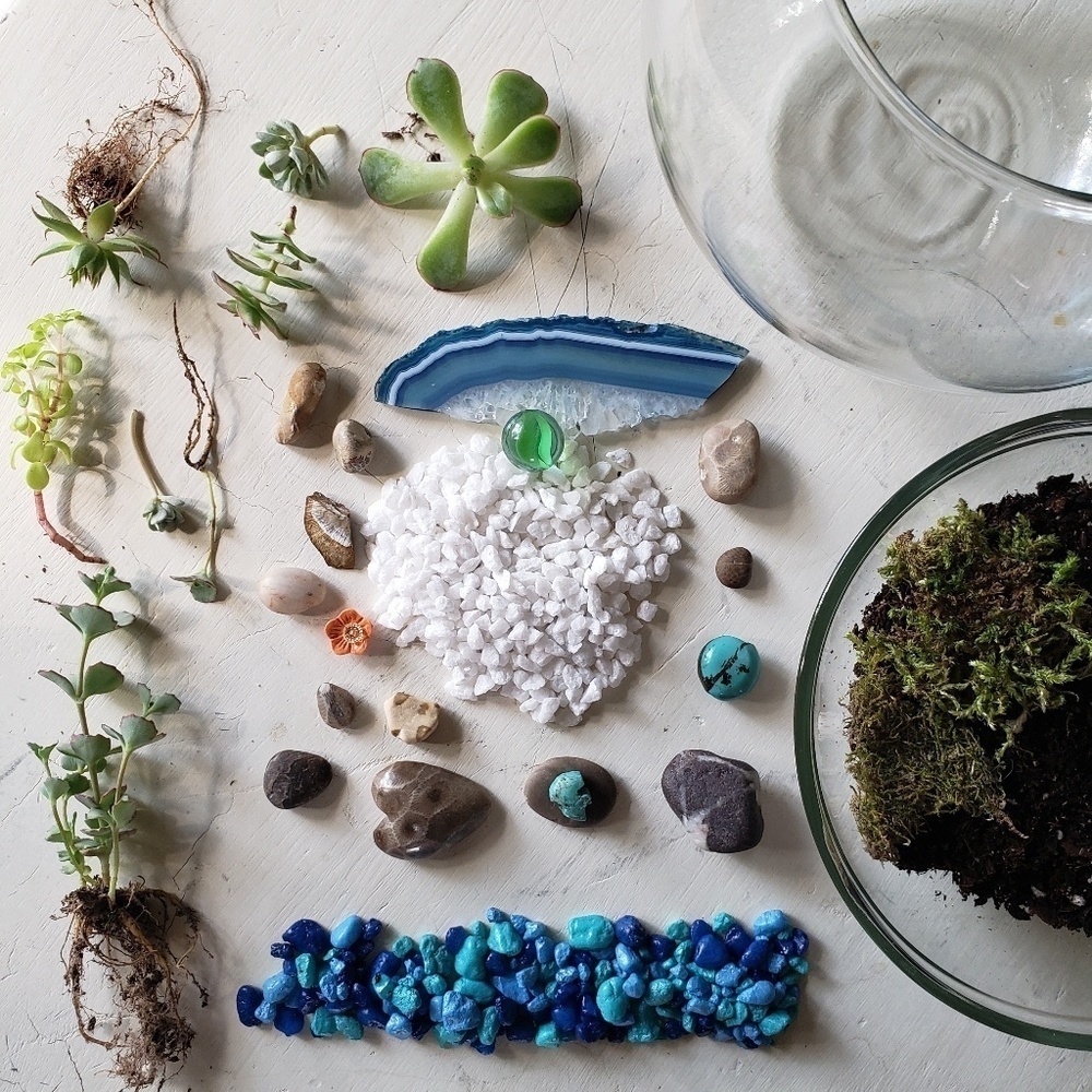 Terrarium kits
